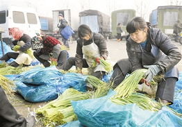 商务部监测显示 蔬菜批发价格连续十周上涨，食用农产品市场波动引关注