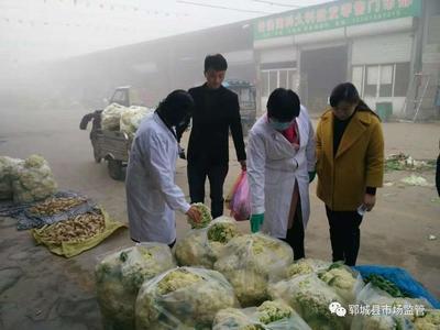 严把食用农产品入市关，确保群众“菜篮子”安全